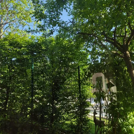 Pod Kolibou 布拉迪斯拉发