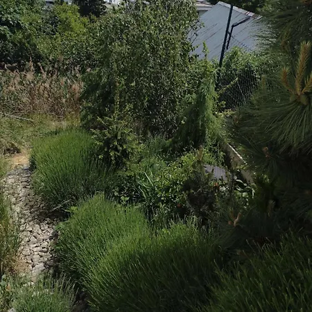 Pod Kolibou Apartmán Bratislava